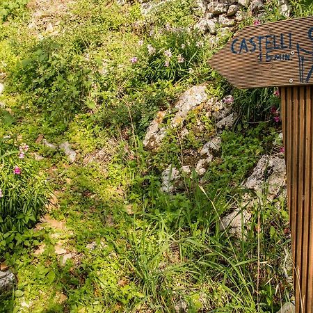 Castelli Olive Press Guest House Acharavi  Exterior photo